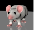 278px-3dmodel lab mouse perspective.png
