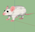 275px-3dmodel lab mouse warehouse.png